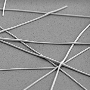 Silver nanowire under electron microscope