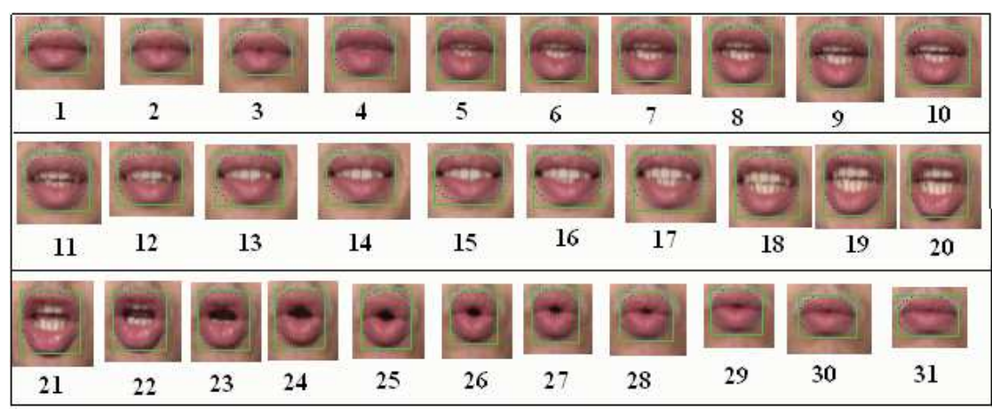 Lip Reading Chart