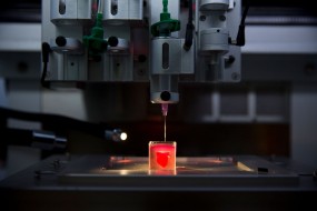 An image of a heart being 3D printed