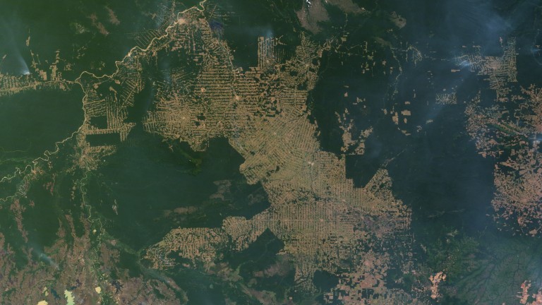Deforestation in the state of Rondônia, in western Brazil.