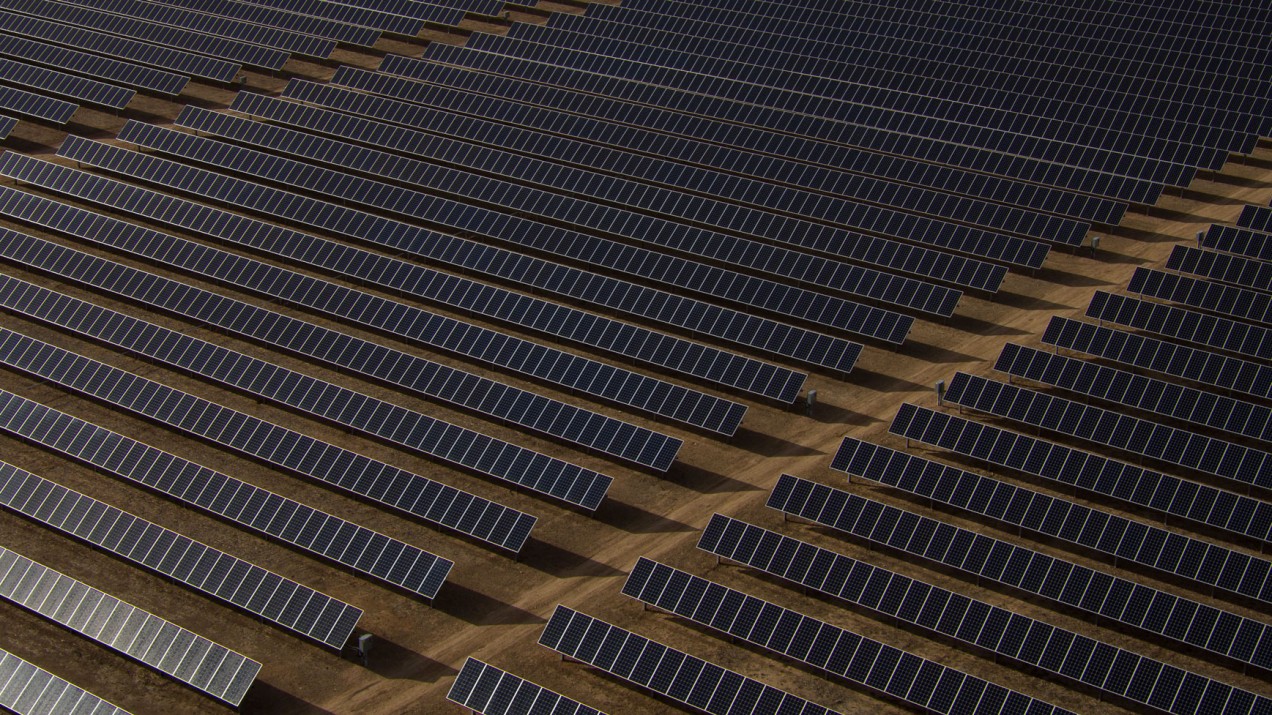 Photo of a field of solar panels