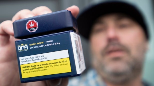 Image of a man holding medical marijuana that was purchased in Canada