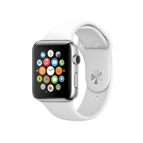 the Apple Watch