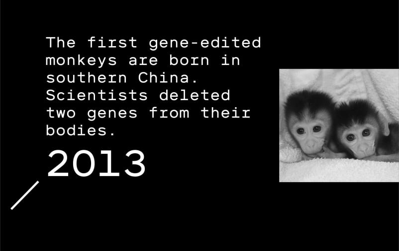 Timeline entry 2013: The first gene-edited monkeys are born in southern China. Scientists deleted two genes from their bodies.