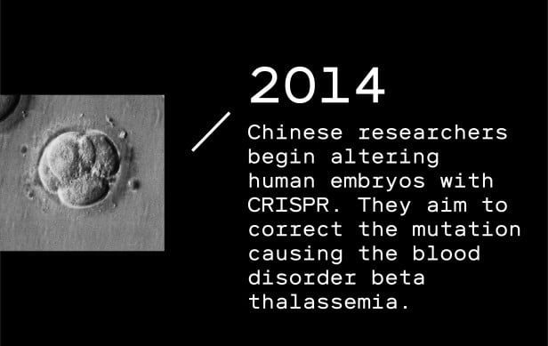 Timeline entry 2014: Chinese researchers begin altering human embryos with CRISPR. They aim to correct the mutation causing the blood disorder beta thalassemia.
