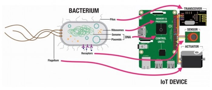 Bacterial IoT
