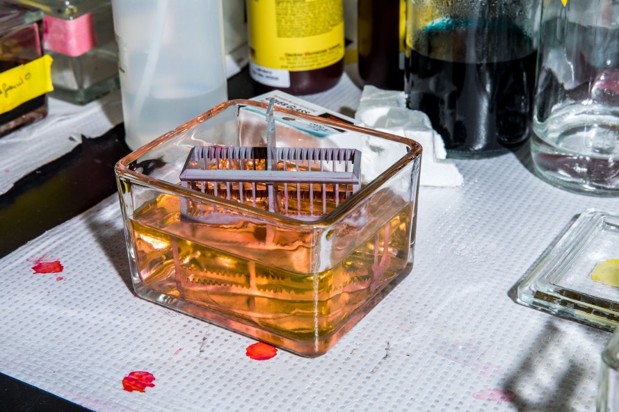 A jar with a staining solution used to study tissues.