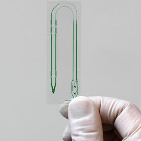a microfluidic chip