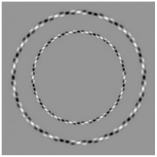 Image of concentric circle optical illusion