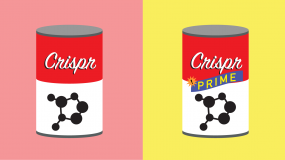 Conceptual illustration of two cans, one regular Crispr, one Prime