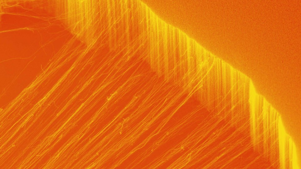 photograph of nanotubes being created