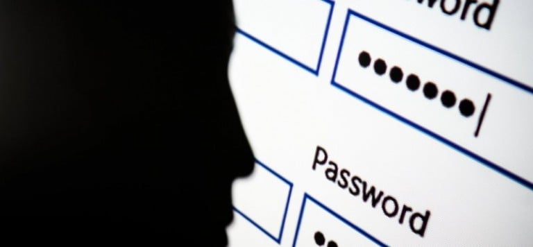 A silhouette of a person besides a screen containing passwords