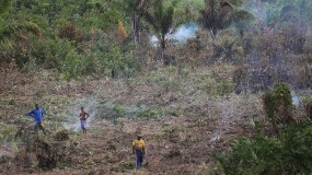 Photo of farmers in a deforested section of the Amazon basin