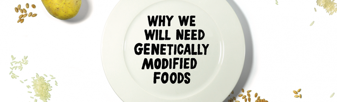 research paper on genetically modified organisms