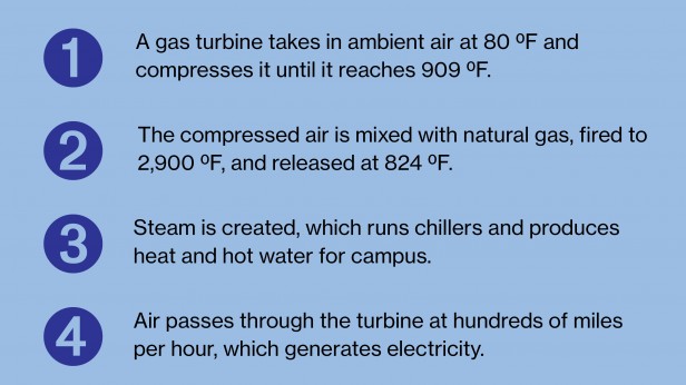 Graphic reading "1)A gas turbine takes in ambient air at 80 ⁰F and 
compresses it until it reaches 909 ⁰F./ 2)The compressed air is mixed with natural gas, fired to 
2,900 ⁰F, and released at 824 ⁰F. / 3)Steam is created, which runs chillers and produces 
heat and hot water for campus.  4)Air passes through the turbine at hundreds of miles 
per hour, which generates electricity.