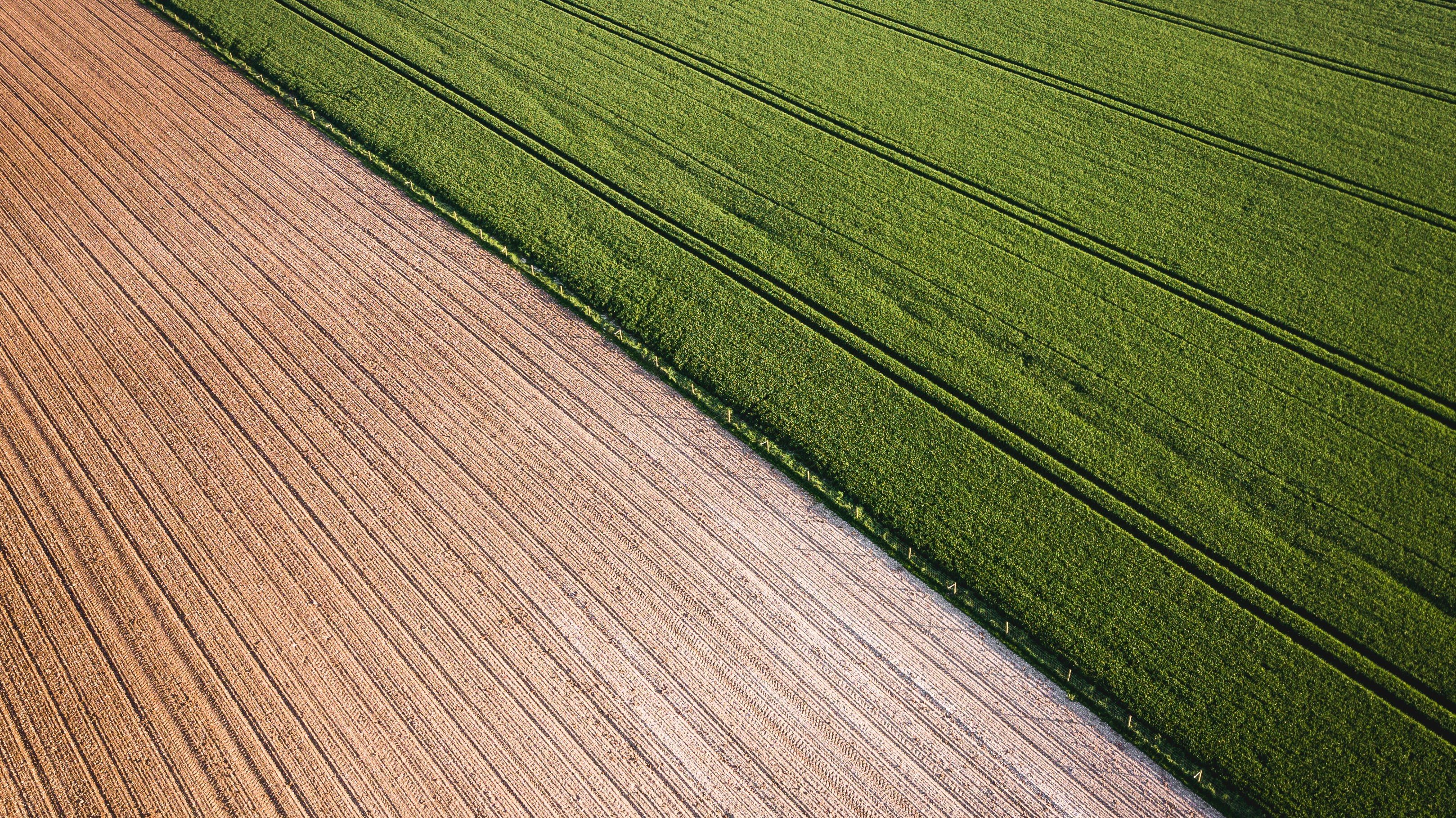 Sorry—organic farming is actually worse for climate change - MIT Technology Review
