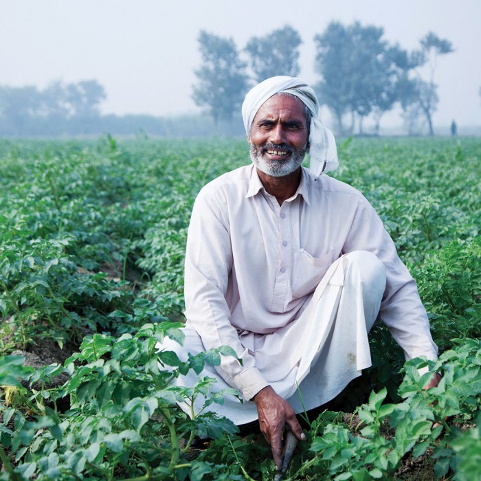 A farmer in Pakistan