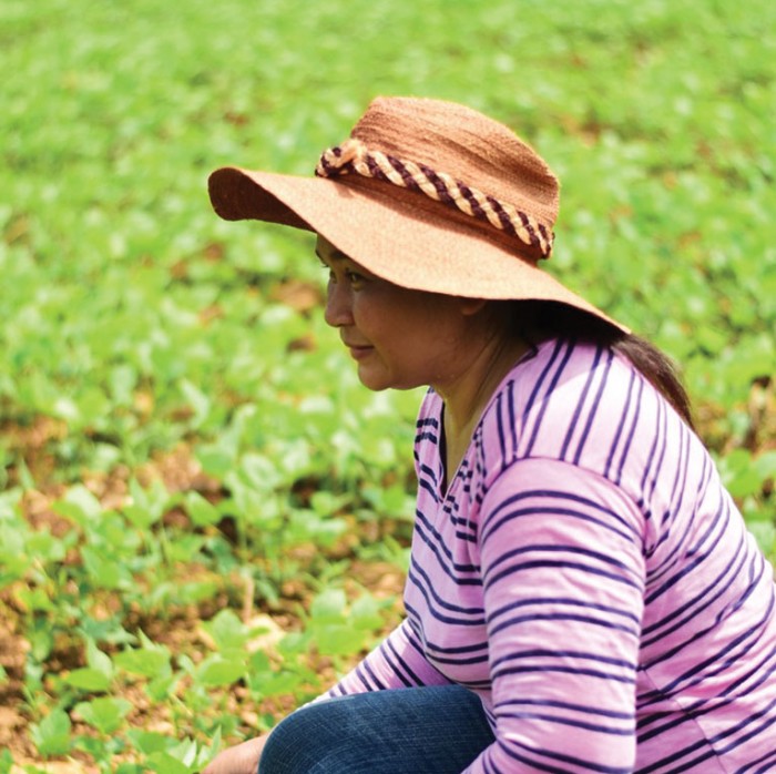 A farmer in Thailand