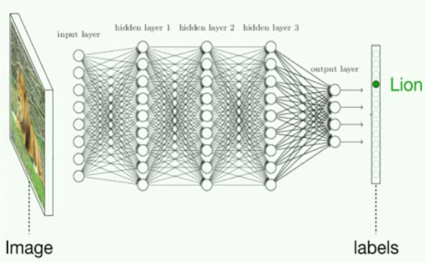 An image of a neural network design.