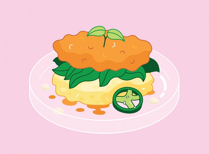 Illustration of plate of food