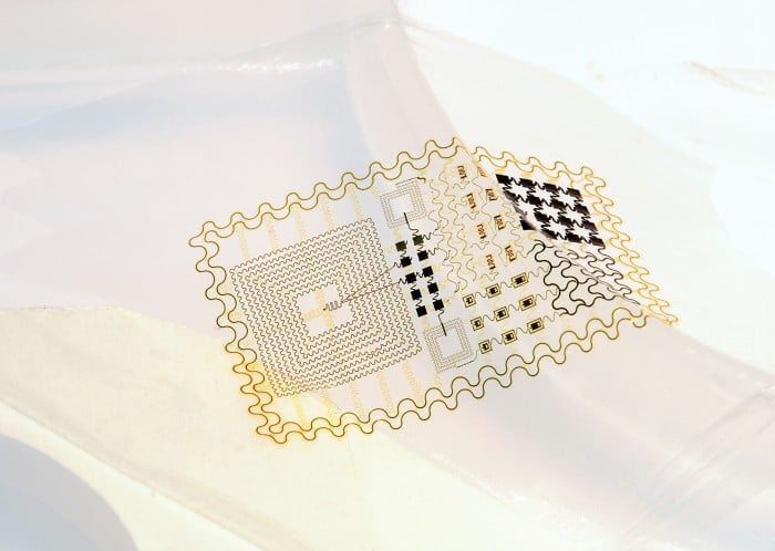 A flexible biometric sensor