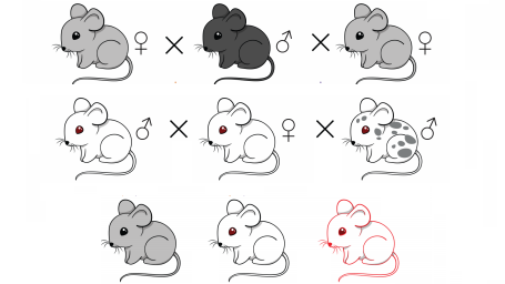 Mice with a gene drive