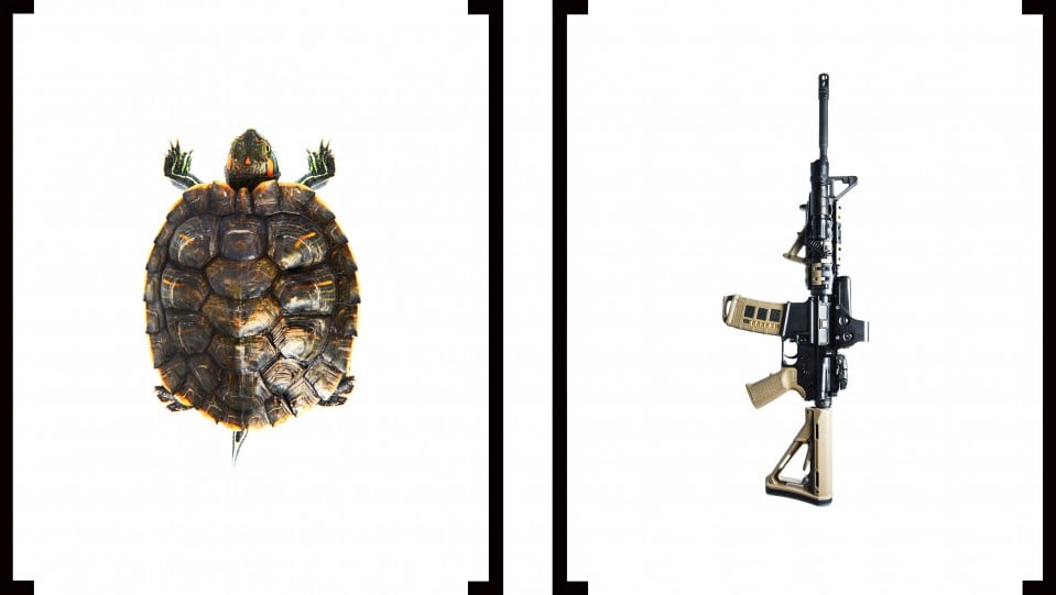 A turtle and a rifle