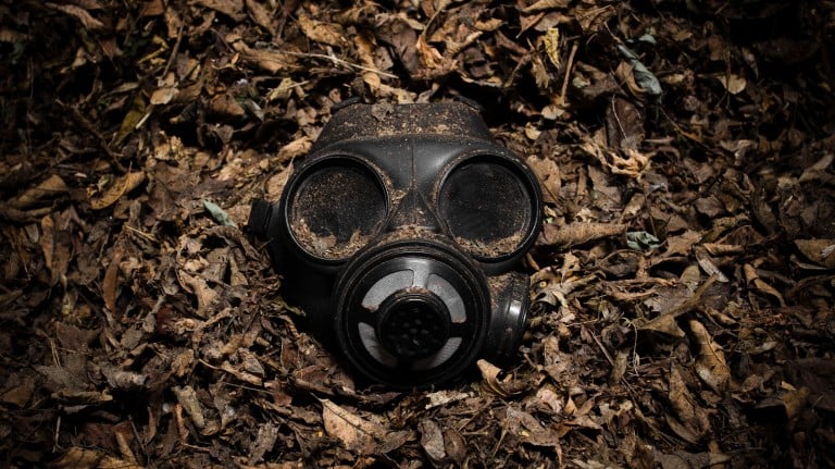 a gas mask in a bed of dry, brown leaves