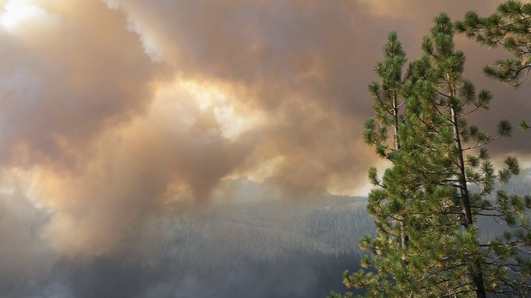 Smoke from a wildfire near California's Stanislaus National Forest