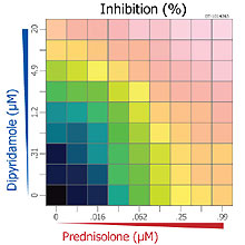 Drug Combination Chart